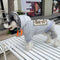 Graphic Pop Pup Hoodie