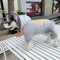 Graphic Elite Dog Hoodie