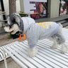 Graphic Elite Dog Hoodie