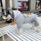 Stripe Rare Pup Hoodie