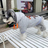 Graphic Super Dog Hoodie