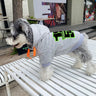 Script Trend Pup Hoodie