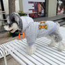 Tiger Deluxe Pup Hoodie