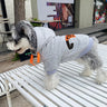 Graphic Rare Puppy Hoodie