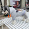Graphic Glam Puppy Hoodie