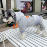 Graphic Swag Dog Hoodie