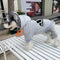 Graphic Premium Doggo Hoodie