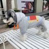 Graphic Lit Canine Hoodie