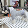 Girl Swag Pup Hoodie
