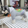 Graphic Bold Doggo Hoodie