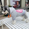 Floral Smart Pup Hoodie
