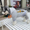Graphic Deluxe Puppy Hoodie