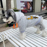 Graphic Deluxe Puppy Hoodie