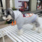 Graphic Fierce Dog Hoodie