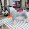 Graphic Lux Dog Hoodie