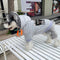 Graphic Fly Pup Hoodie