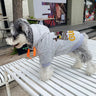 Graphic Edge Canine Hoodie