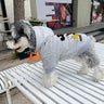 Mickey Print Dog Hoodie