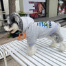 Graphic Icy Canine Hoodie