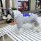 Graphic Cozy Puppy Hoodie