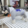 Graphic Cozy Puppy Hoodie