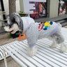 Graphic Swag Puppy Hoodie
