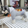 Mouse Premium Pup Hoodie