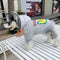 Graphic Crisp Canine Hoodie