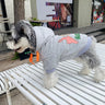 Graphic Vibe Doggo Hoodie