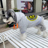 Graphic Wave Pup Hoodie