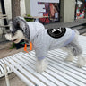 Graphic Bold Puppy Hoodie