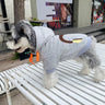 Graphic Smart Doggo Hoodie