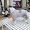 Letter Premium Pup Hoodie