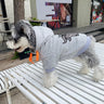 Graphic Plush Pup Hoodie