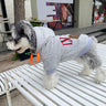 Graphic Smart Puppy Hoodie