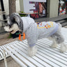 Floral Trend Pup Hoodie