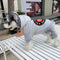 Graphic Dope Pup Hoodie