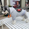 Graphic Dope Pup Hoodie