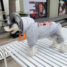 Graphic Fresh Puppy Hoodie