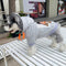 Graphic Deluxe Pup Hoodie