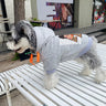 Graphic Deluxe Pup Hoodie