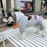 Graphic Trend Canine Hoodie
