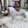 Graphic Elite Canine Hoodie