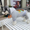 Graphic Trend Doggo Hoodie