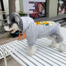 Bear Flex Pup Hoodie