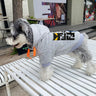 Graphic Flex Doggo Hoodie