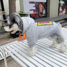 Stripe Plush Pup Hoodie