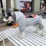 Graffiti Clean Pup Hoodie
