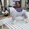 Graphic Super Puppy Hoodie