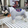 Graphic Super Puppy Hoodie